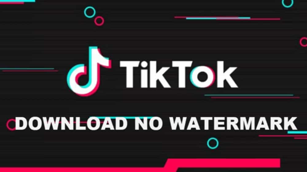 Snaptik - Application to download videos Tiktok (Douyin) without watermark for free