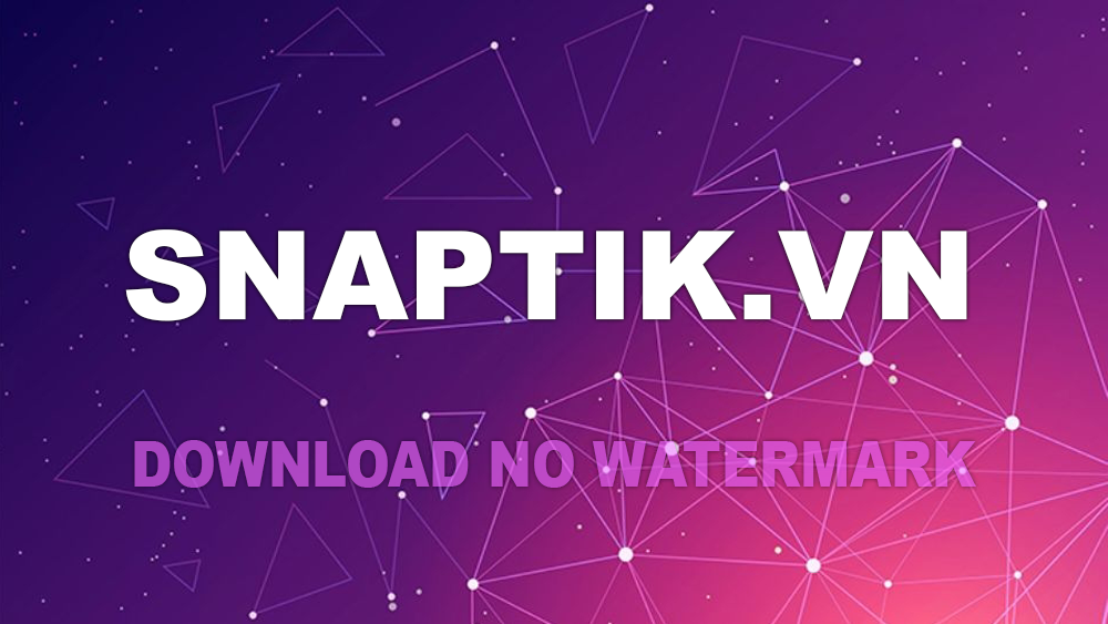 Snaptik - Applicatie om gratis video's Tiktok (Douyin) zonder watermerk te downloaden