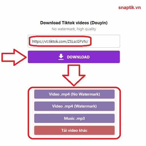 Rekatkan tautan video Tiktok (Douyin) dan pilih tombol unduh