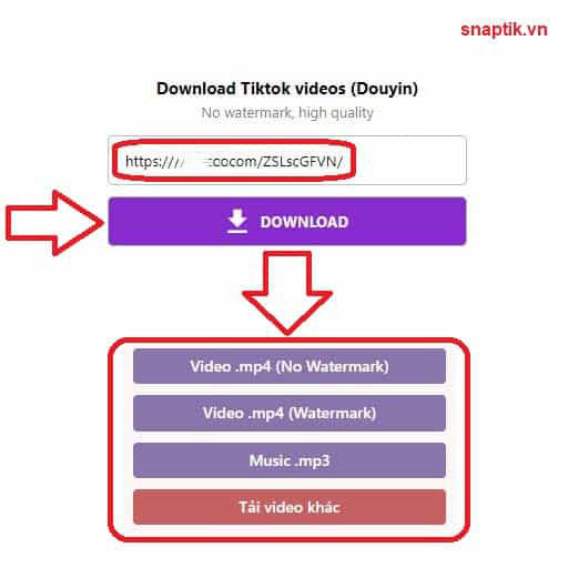 Paste the video link Tiktok (Douyin) and select the download button